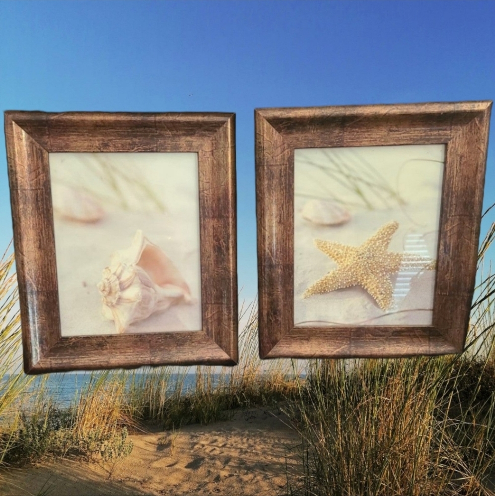 Set of Seashell & Starfish Pictures